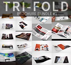 10套三折页传单模板：Tri-Fold Brochure Bundle #1